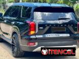 Hiunday PALISADE  LIMITED 2022
