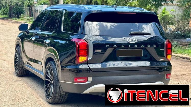 Hiunday PALISADE  LIMITED 2022