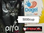 Pienso para gatos marcas Feline y Alfa de 2kg y 20kg