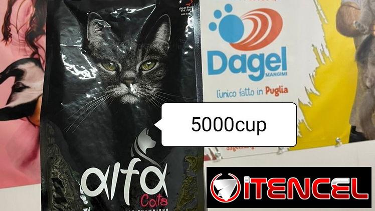 Pienso para gatos marcas Feline y Alfa de 2kg y 20kg