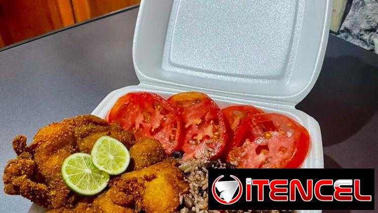Comida a domicilio SATISFECHO – Centro Habana (Kinetica)