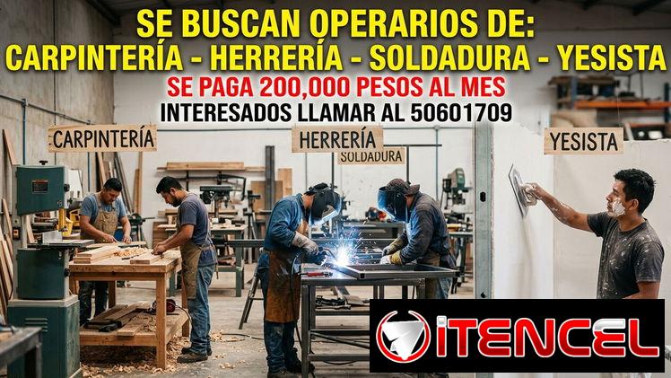 Se buscan trabajadores