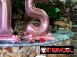 Fiesta de Quinceañeras ‼️