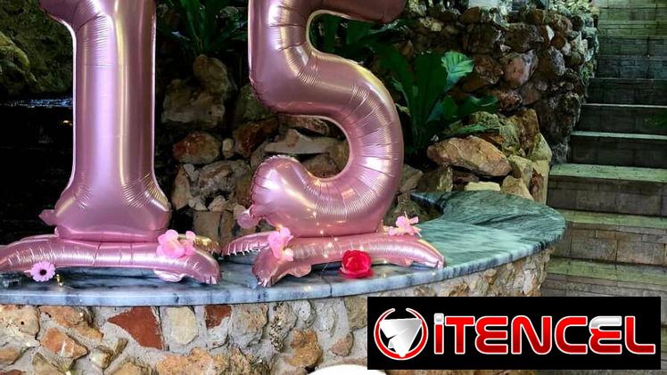 Fiesta de Quinceañeras ‼️