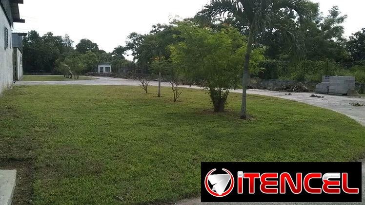 Servicios de Jardinería y Limpieza de exteriores (trabajamos en la mayoría de los municipios)