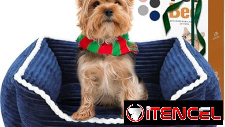 Camas para Perros Medianos