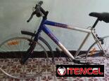BICICLETA 26