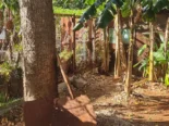 Casa grande en cojimar con apartamento de alquiler en el fondo
