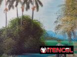 Pintura que evoca nostalgia del campo cubano, un viaje y costumbres de la isla.