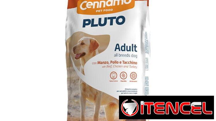 Pienso Premium Mascotas 🐾 20kg + Latas – Rebaja Especial (Kinetica)