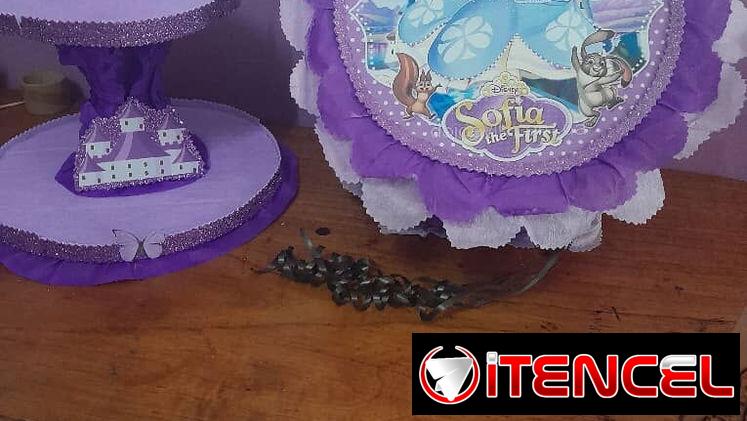 🎊Piñateria D’ Ensueño🥳