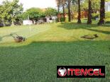 servicios de Jardinería y Limpieza de exteriores ( trabajamos en la mayoría de los Municipios )