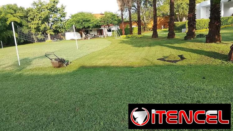 servicios de Jardinería y Limpieza de exteriores ( trabajamos en la mayoría de los Municipios )
