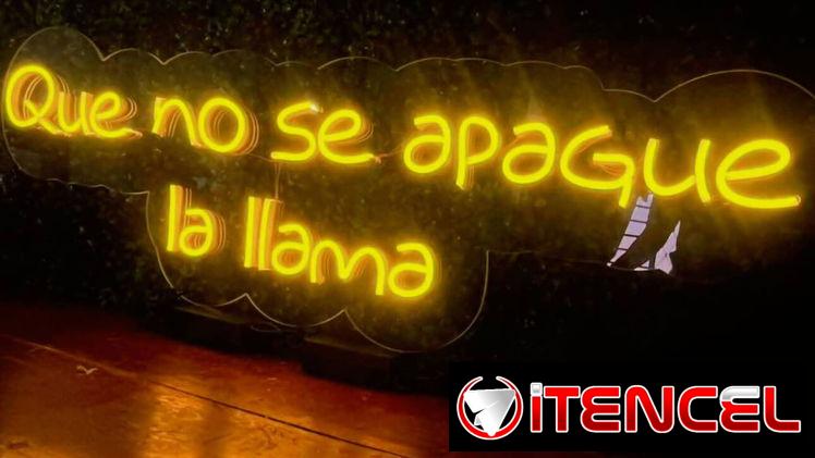 Carteles Lumicos Flex
