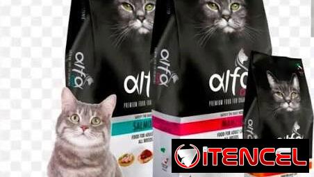 Pienso para gatos