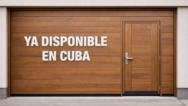 Puerta de garaje con paso peatonal ♨️