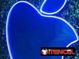 Hiedras Artificiales