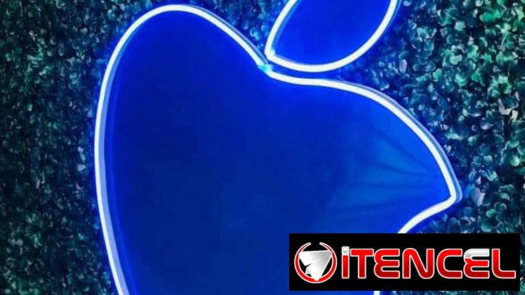 Hiedras Artificiales