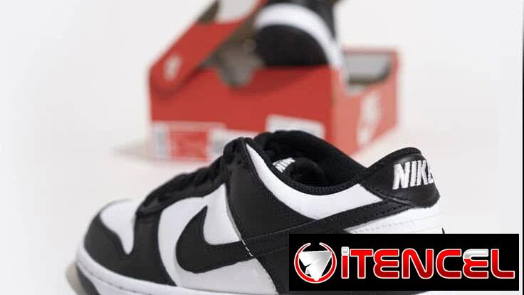 Zapatos Nike original