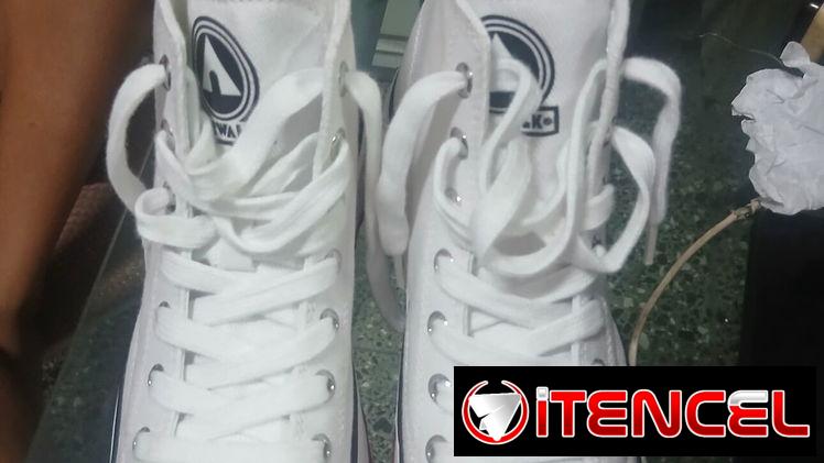 Zapatos tipo converses