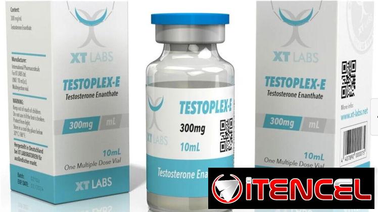 Testosterona de Enantato 300mg/10ml-XT LABS