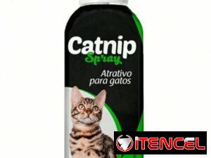 85fb6341f69e3c3f2cda43d407c1487cd5ab15d2267f3aecc442ac54822effbe