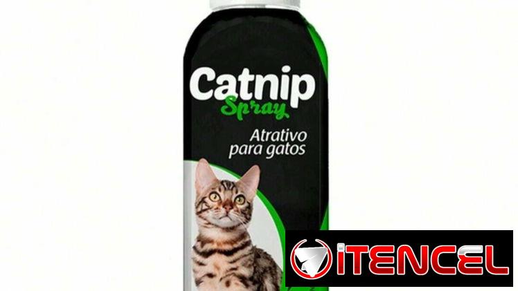 Catnip en Spray para Gatos 🐱