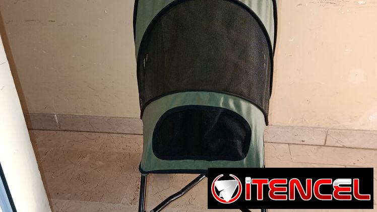 Coche para perros pequeños como los Chihuahuas