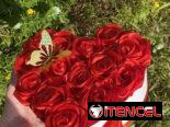 Rosas Eternas