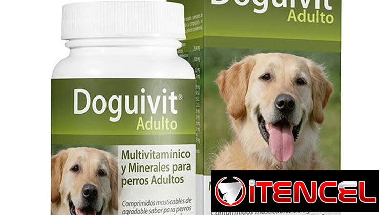Complejo vitamínico para perros Doguvit