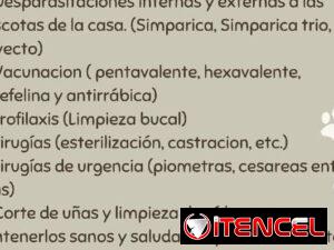 866a2d7240d1b8c1ef3355f811578754a6183a5d48ef3fe0ecd43305a9816deb