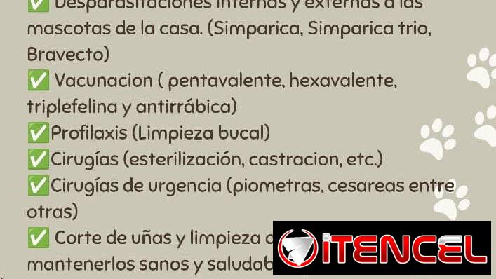 🚨🐱🩺¡VETERINARIO A DOMICILIO!🐶🐾🚨