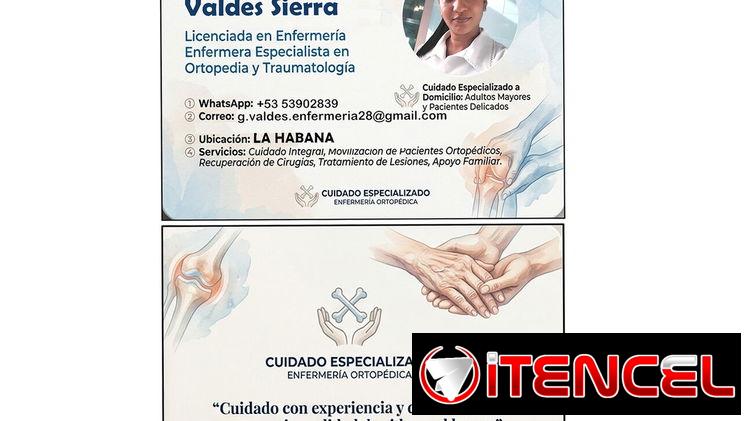 Enfermera-Cuidadora