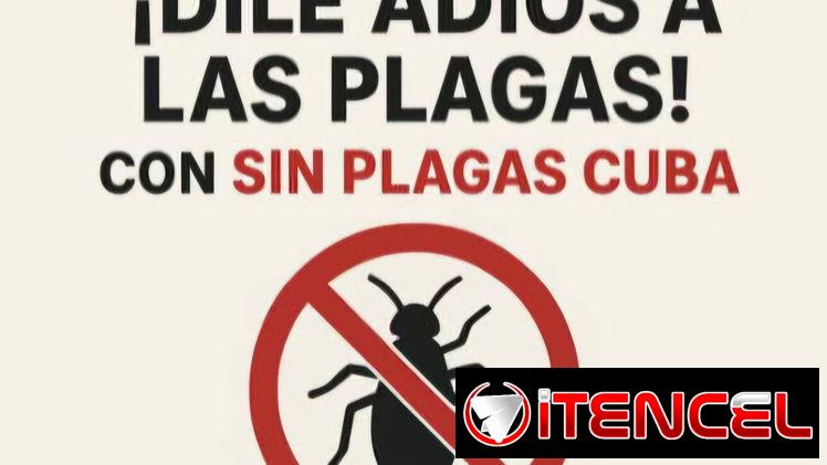 👉 Fumigador profesional…