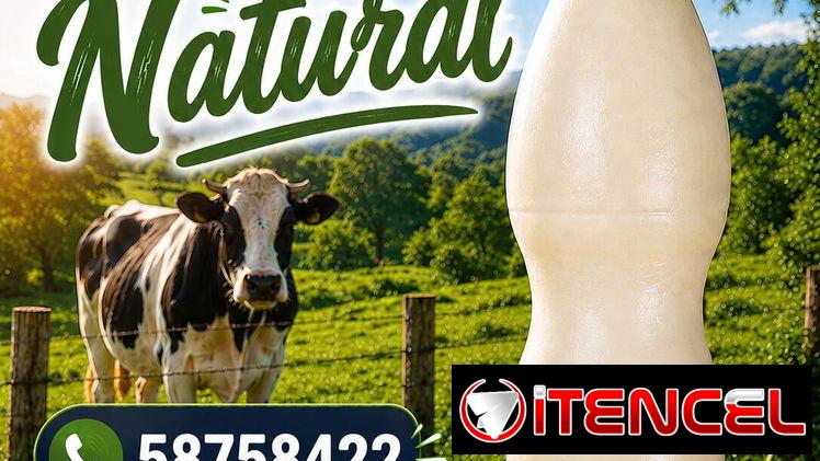 Yogurt Natural