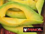 Un sabor 😋a otro nivel  cerdo al punto un sabor extraudinario  ,contactanos que esperas 😊