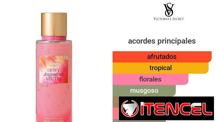 Splash Victoria’s Secret ( Colonia)