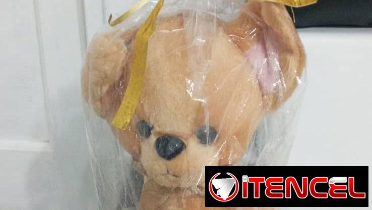 Perrito de peluche