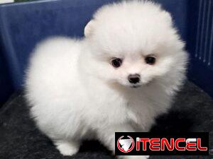 88235ddc1801eed586d321dcb9b48e813add70f71fb16576e9e0a5cc83920351