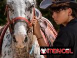 Sesiones de Fotografía con Caballos