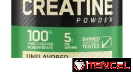 Creatina