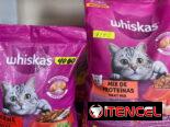 Pienso para gatos y perros variedad disponible