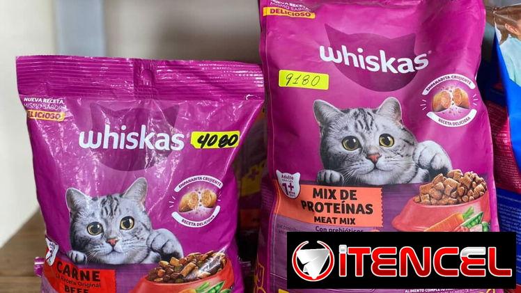 Pienso para gatos y perros variedad disponible