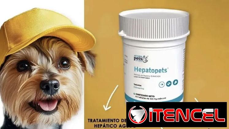Protector hepático para perros