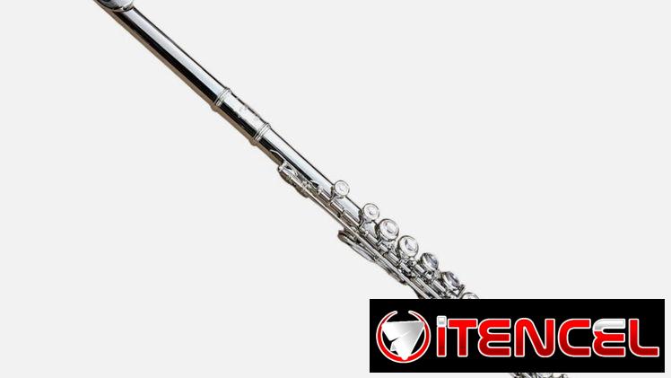FLUTE-BANKRUPTCY SALE-NEW C STUDENT/INTERMEDIATE/PRO SILVER CONCERT BAND FLUTES