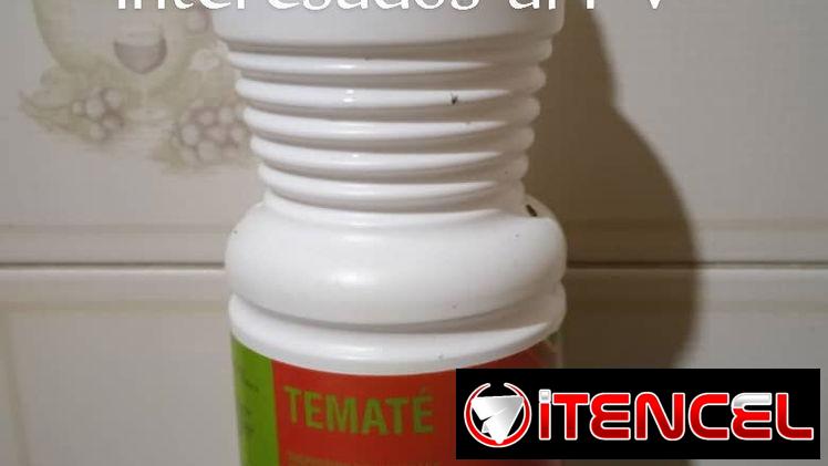 Temate