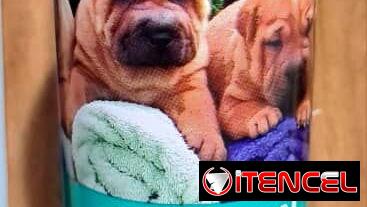 Shampoo Dermisan para perros (para el tratamiento contra los hongos)