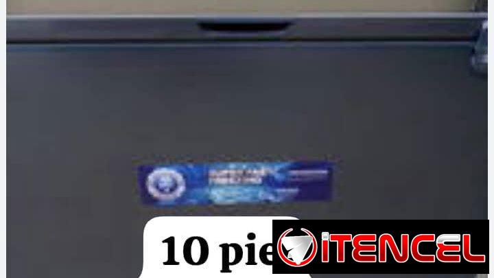 Nevera 10 pies