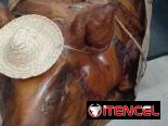 Comida a domicilio