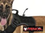 Artículos para perros